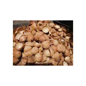 Coconut Husk