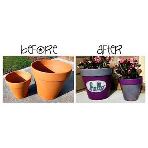 Domestic Plastic Pots