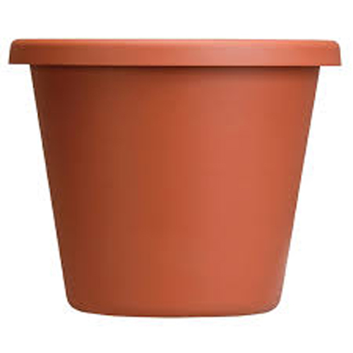 Domestic Plastic Pots