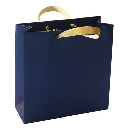 Plain Paper Shopping Carry Bags