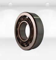 Plastic Deep Groove Ball Bearing