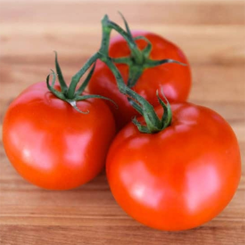 Preserved Pure Tomato