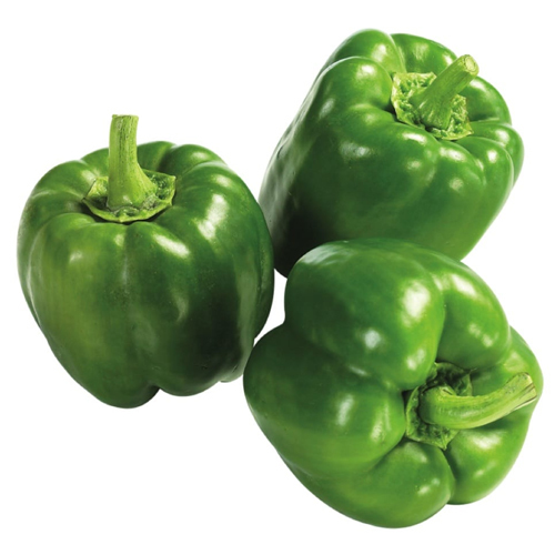 Preserved Fresh Green Bell Pepper