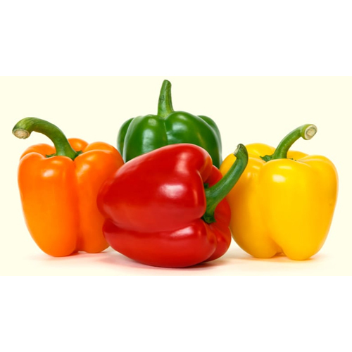 Preserved Fresh Bell Pepper
