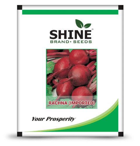 Beet Root Imported - Rachna Seed
