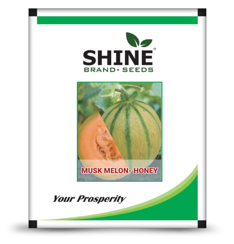 Muskmelon - Honey Seed Purity: 99%