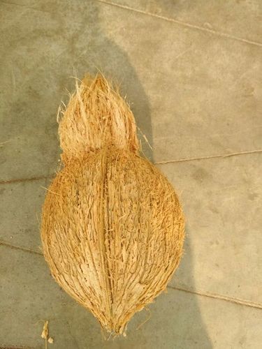 Semi Coconut