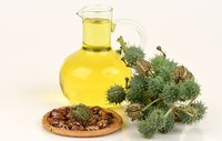Pure Castor Oil Boiling Point: 313  C