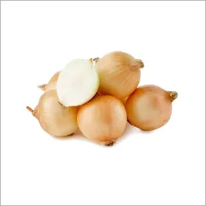 Round Brown Onion