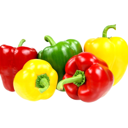 Capsicum