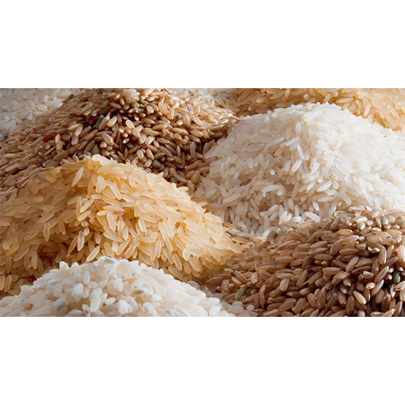 Rice