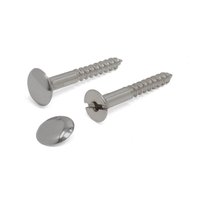 Brass Mirror Screw