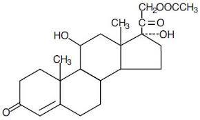 Hydrocortisone Acetate Cas No: 50-03-3