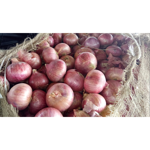 Preserved Onion