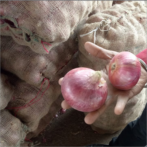 Preserved Red Onion
