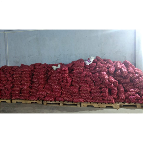 Preserved Fresh Red Onion