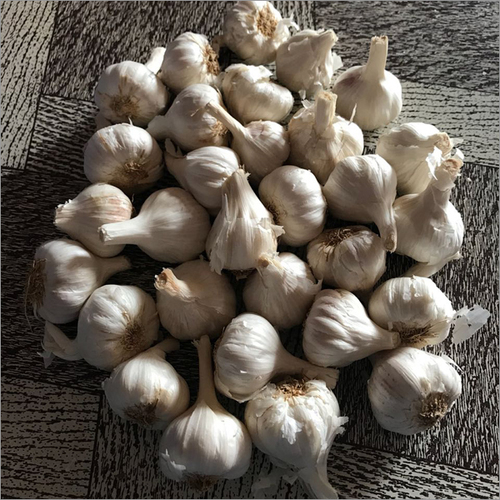 White Raw Garlic