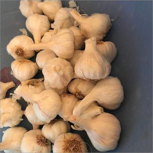 White Peeled Garlic
