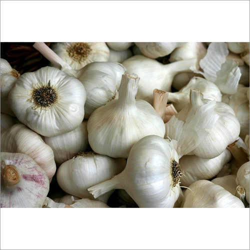 White Organic Garlic