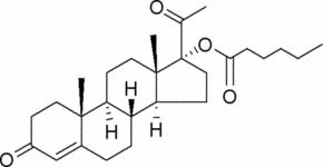 Hydroxyprogesterone Caproate Cas No: 630-56-8