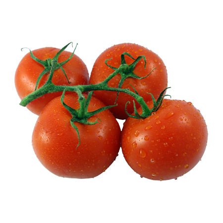 Fresh Tomato