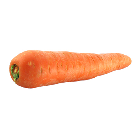 Carrot By P.P.H. EWA-BIS SP. Z O.O.
