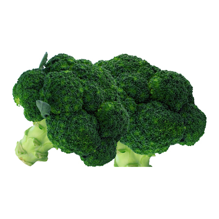 Green Broccoli