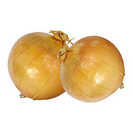 Fresh Onion