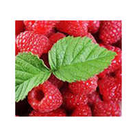 Red Raspberry