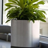 Agricultural Planter - Durable Metal Frame, Compact Size For Efficient Cultivation, Enhanced Seed Distribution System