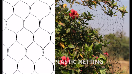 Anti Bird Net Anti Bird Net