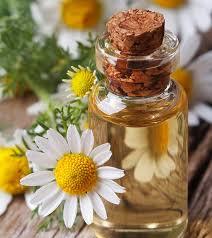 Chamomile Oil Gender: Male