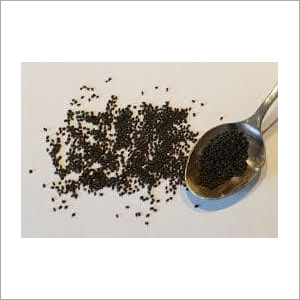 Tulsi Seeds