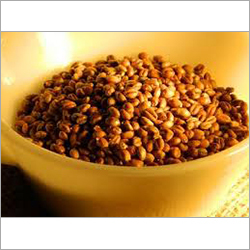 Roasted Wheat