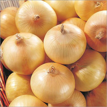 Preserved Fresh Onion Yellow Onion