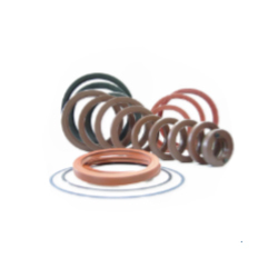 Oil Seals