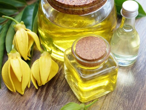 Ylang - Ylang Age Group: All Age Group