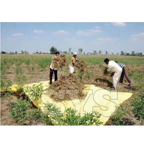 Agricultural Tarpaulin Sheet Agricultural Tarpaulin Sheet
