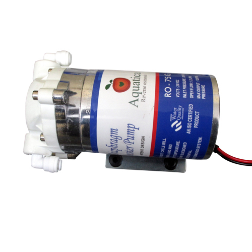 grand forest 75 gpd pump