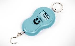 Portable Electronic Scale