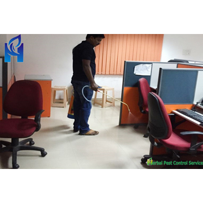 Commercial Pest Control Services
