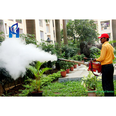 Mosquito Control Servicess