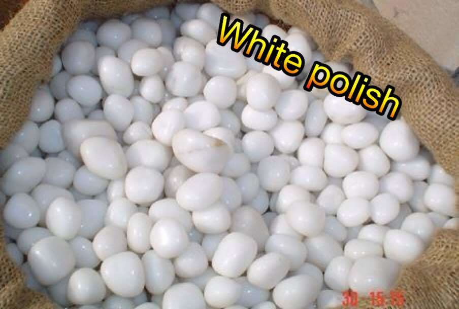 High Polished Small Round Snow White Quartz Pebbles For Home Decor