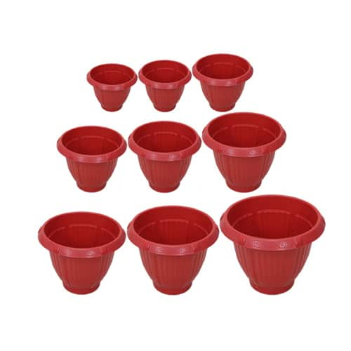 Royal Planters