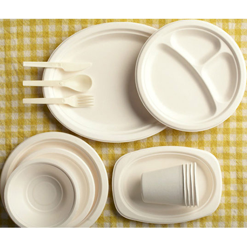 Areca Leaf Plates