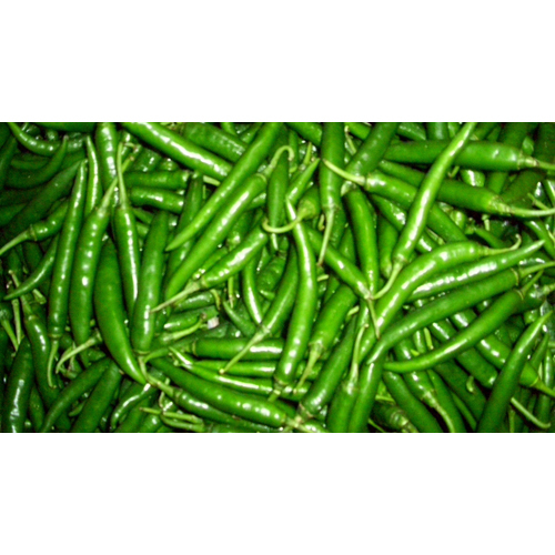 Fresh Green Chilli