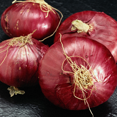 Fresh Onion