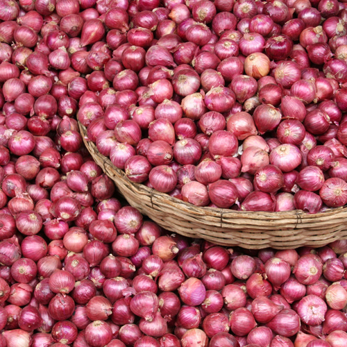 Fresh Red Onion