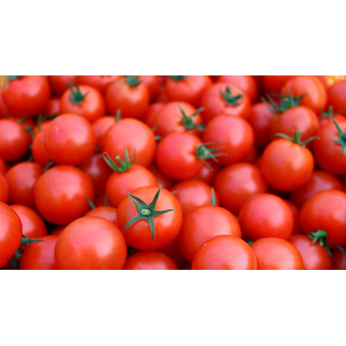 Pure Tomato