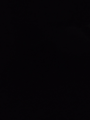 Empty Libe oil bottles